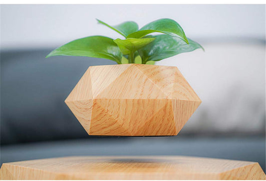 Kiko-ershaa Levitation Plant Pot Floating Air Bonsai Pot Suspension Flower Pot Planter for Desk Decoration