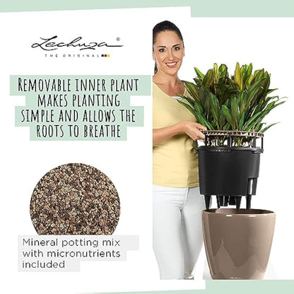 Lechuza Self Watering Plant Pot CLASSICO 50 LS Garden Flower Indoor and Outdoor Plastic Planter with Drainage Hole D50 H47 cm White High-Gloss