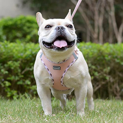 DORAMIO Step-in Dog Harness and Leash Set, Soft Mesh No-Chock Reflective Breathable Easy Walk Lightweight Vest Harnesses with Safety Buckle for Small Dogs, Cats, Puppies (Champagne, XXS)