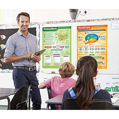 Daydream Education Biology Science Posters - Set of 13 - EXTRA LARGE A1 (850mm x 594mm) - Laminated - Science Secondary School Wall Charts for the Classroom