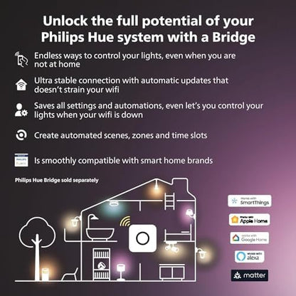 Philips Hue Gradient Lightstrip for 55 Inch TVs, Sync with Media and Gaming Smart Entertainment LED Lighting with Voice Control, Compatible with Alexa, Google Assistant (Packaging may vary)