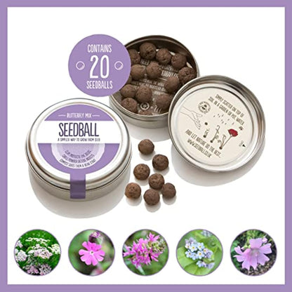 SEEDBALL Butterfly Mix Seed Bombs (Wild Flower Tin) - 20 Seed Balls Per Pack | Eco Friendly British Wildflower Seeds | Clay Protected Seed Bomb for Butterflies – A Mix of Purple, Pink & Blue Flowers