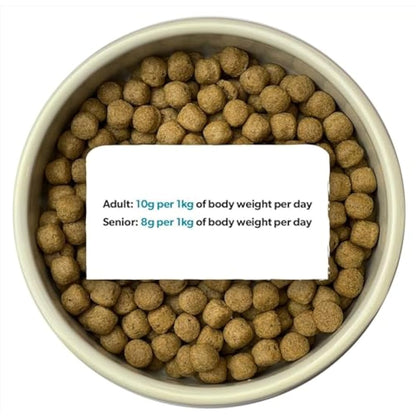 Burns Pet Nutrition Hypoallergenic Complete Dry Dog Food Adult and Senior Dog Original Fish and Brown Rice 2 kg