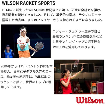 WILSON Blaze Series Pickleball Paddles - Grip Size 2-4 1/4", Black/Red