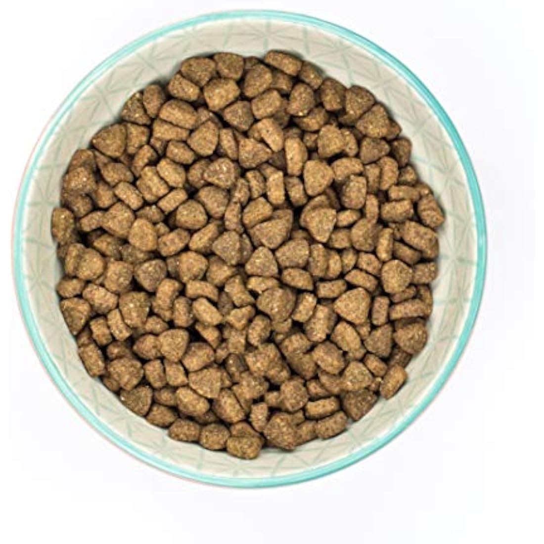 Burns Pet Nutrition Hypoallergenic Complete Dry Cat Food Adult and Senior Cat Chicken and Brown Rice 5 kg