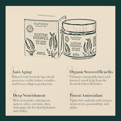 Napiers Speedwell Ageless Day Cream - Anti-Aging & Wrinkle Reduction with Scottish Speedwell & Organic Seaweed - 60ml