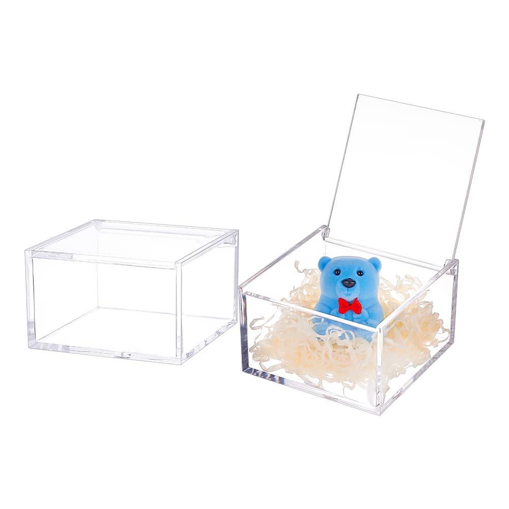 BENECREAT 2Pcs Acrylic Box with Lid, 10x10x6cm Clear Cube Display Case Storage Boxes Organizer Containers for Wedding Birthday Gift Packing Jewelry