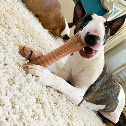 Nylabone Dura Chew Extreme Tough Dog Chew Toy Bone, Bacon Flavour, XL, for Dogs over 23 kg