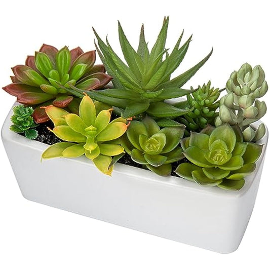 Briful Artificial Succulent Plants Faux Succulents in White Ceramic Pot, Fake Plants Artificial Succulents Potting Mix Artificial Plants in Pot for Office Home Bathroom Shelf Decor