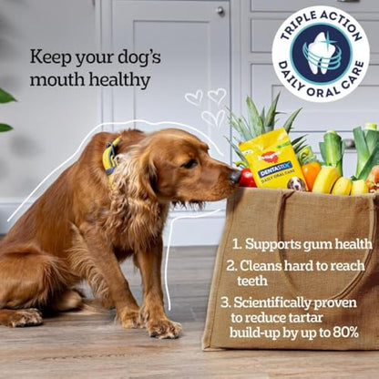 Pedigree DentaStix - Daily Dental Chews For Medium Dogs (10-25 kg), 112 Sticks