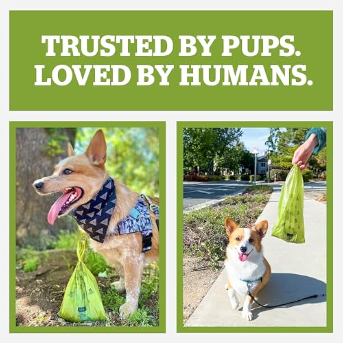 Pogi’s Dog Poo Bags – 750 Bags (50 Rolls) with 2 Dispensers – Biodegradable, Leak-Proof, Extra Strong
