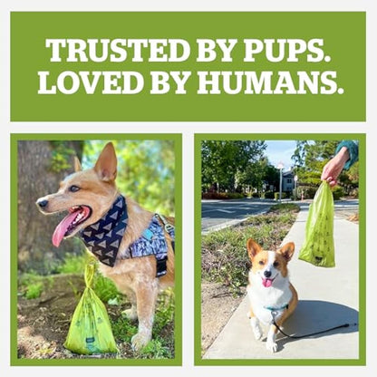 Pogi’s Dog Poo Bags with Handles – Extra Thick, Leak-Proof, Large, Fresh Scented, 900-Count