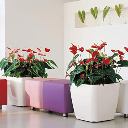 LECHUZA QUADRO Premium LS 50 scarlet red high gloss 16287