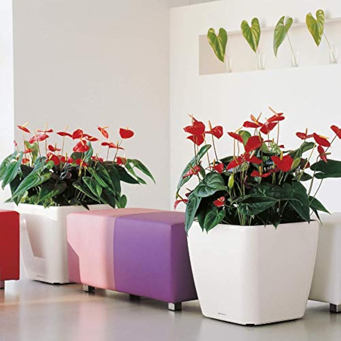 Lechuza Self Watering Plant Pot QUADRO LS 50 Garden Flower Indoor and Outdoor Plastic Planter with Drainage Hole H47 L50 W50 cm Charcoal Metallic