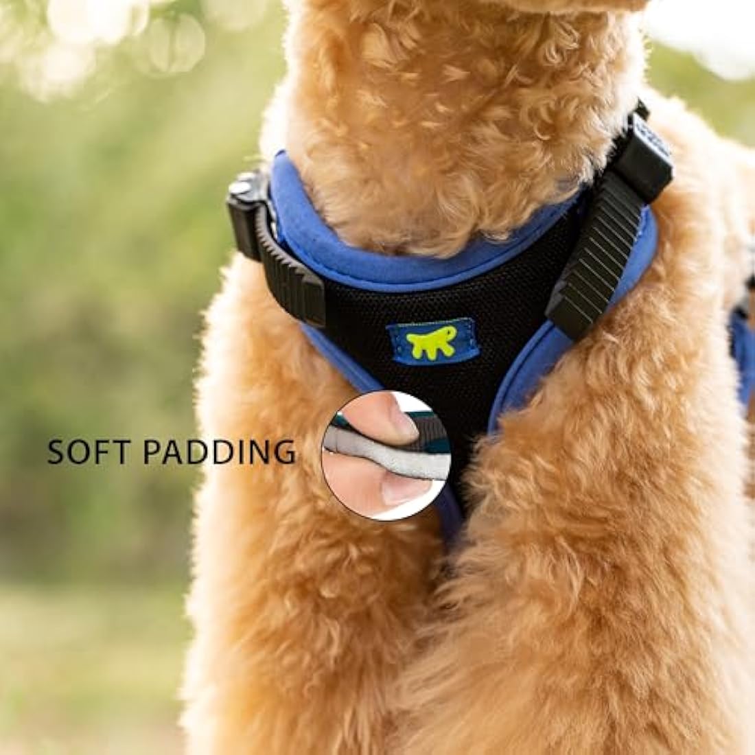 Ferplast Small Size Dog Harness ERGOCOMFORT EXTRA SMALL, Adjustable Dog Harness, Comfortable, Padded, Double Micro-adjustment Closure, Quick Release, Blue