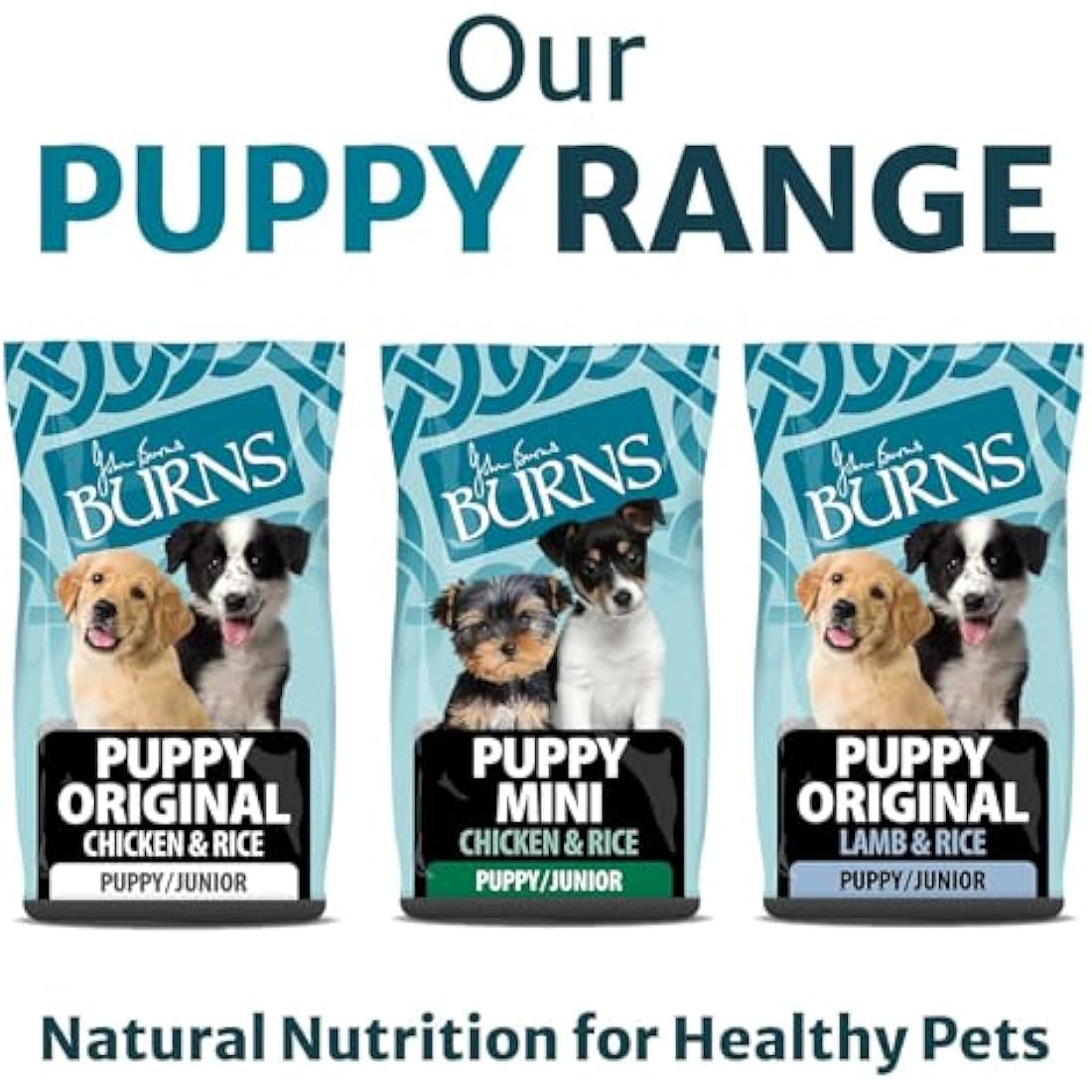 Burns Pet Nutrition Hypoallergenic Complete Dry Dog Food Puppy Mini Chicken and Rice 6 kg