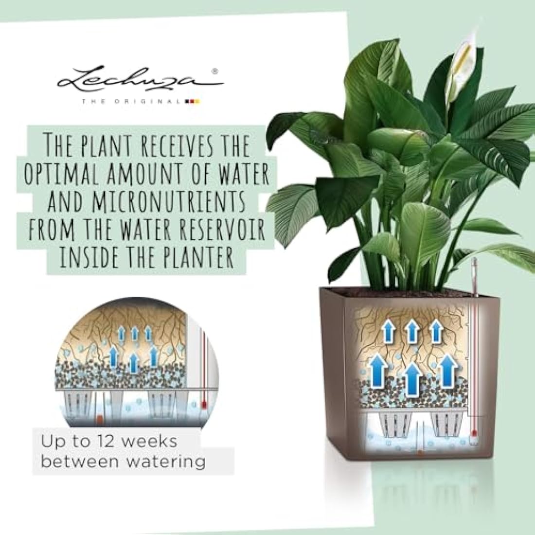 Lechuza Self Watering Plant Pot CUBE 40 Garden Flower Indoor and Outdoor Plastic Planter with Drainage Hole H40 L40 W40 cm White High-Gloss