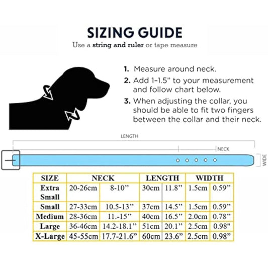 Vibrant Leather Dog Collar for Puppy, Cat, Kitten, Dogs - For Small, Medium, Large & Extra Large Pet Collars (Extra Large (45cm - 55cm Neck), Sky Blue)