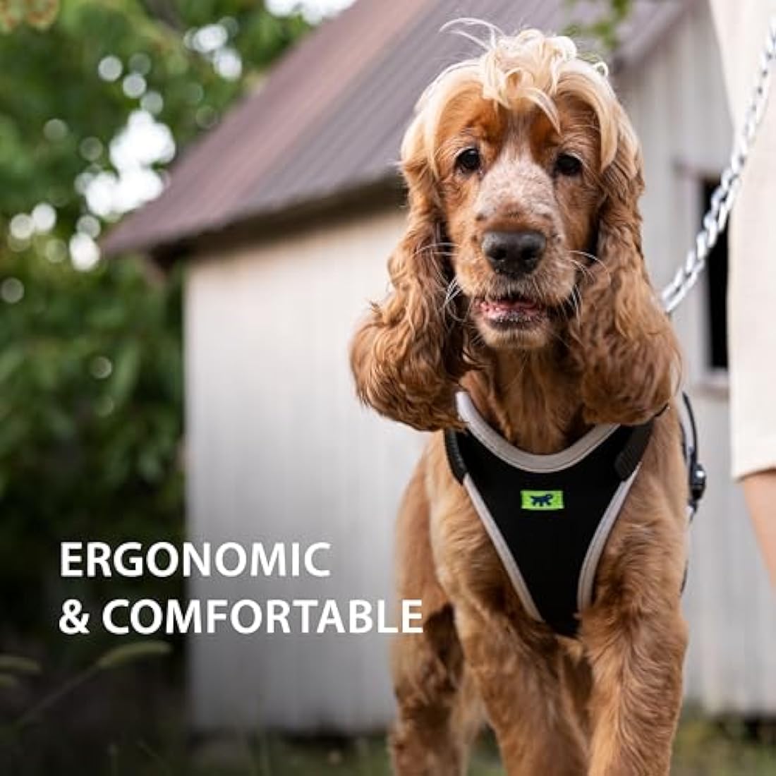 Ferplast Small Size Dog Harness ERGOCOMFORT SMALL, Adjustable Dog Harness, Comfortable, Padded, Double Micro-adjustment Closure, Quick Release, Silver