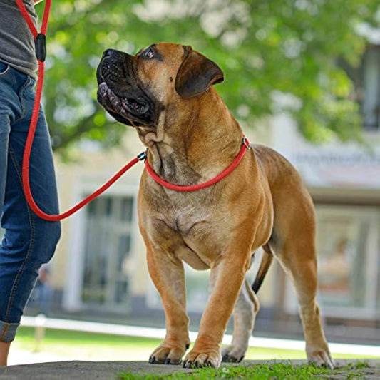 Hunter Freestyle Retriever Leash, 10 mm Diameter x 260 cm Length, Red