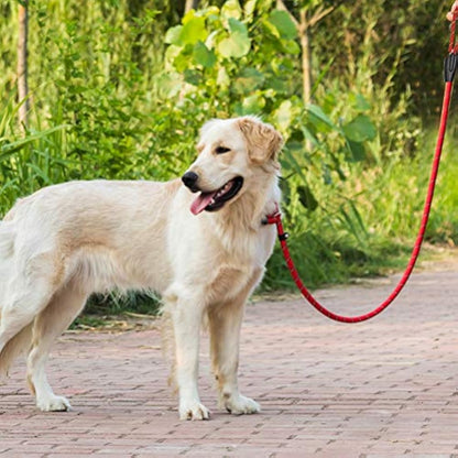 nuoshen Dog Slip Lead,125cm Extremely Durable Strong Dog Training Leash Rope Adjustable Pet Lead Leash for Dogs, Red