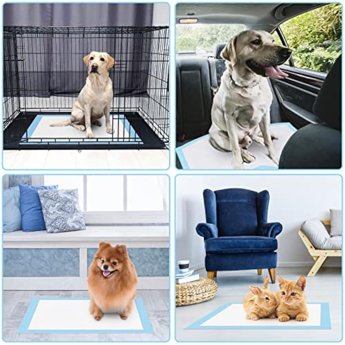 RCruning-EU 50 PACK Puppy Training Pads for Dog Pet Pee Absorbent Toilet Pee Wee Mat Anti Slip Leakproof (60 * 45CM)