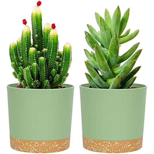 QCQHDU 12.7cm Plant Pot, 2 Pack Planters for Indoor Plants with Drainage Holes & Saucer, Outdoor Flower Pots Home Garden Modern Decor (Green, 12.7cm)
