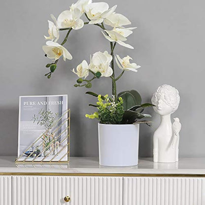 Olrla White Artificial Orchid Flowers in Pot, Faux Butterfly Orchids for Home Office Bathroom Decoration Table Centerpieces (White 2)