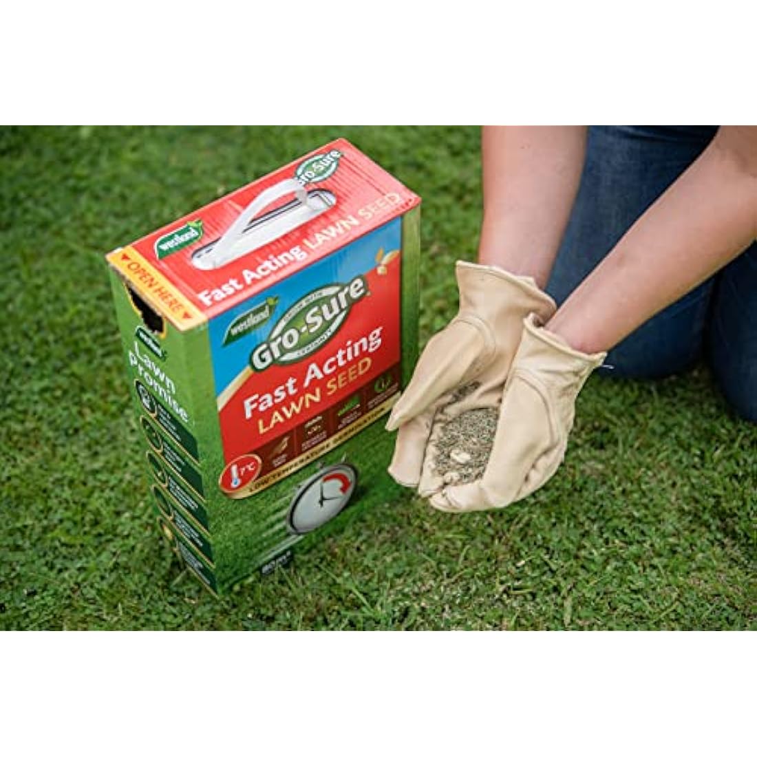 Gro-Sure 20500187 Fast Acting Grass Lawn Seed, 30 m2, 900 g, Blue,Green