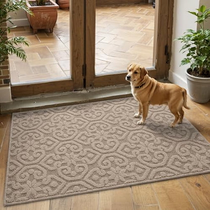 DEXI Door Mats Indoor 81 x 122 cm, Dirt Trapper Doormat with Non Slip Rubber Backing, Thin Washable Front Entrance Mat for Inside, Patio, Porch, Beige