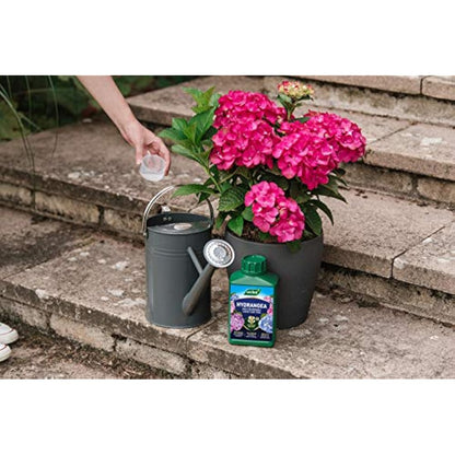 Westland 20100444 Hydrangea High Performance Liquid Plant Food 1 Litre, Green