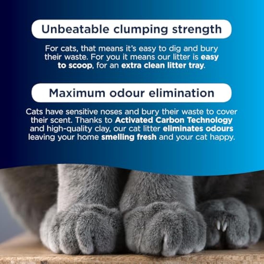 Ever Clean Clumping Cat Litter, Extra Strong Scented 20L