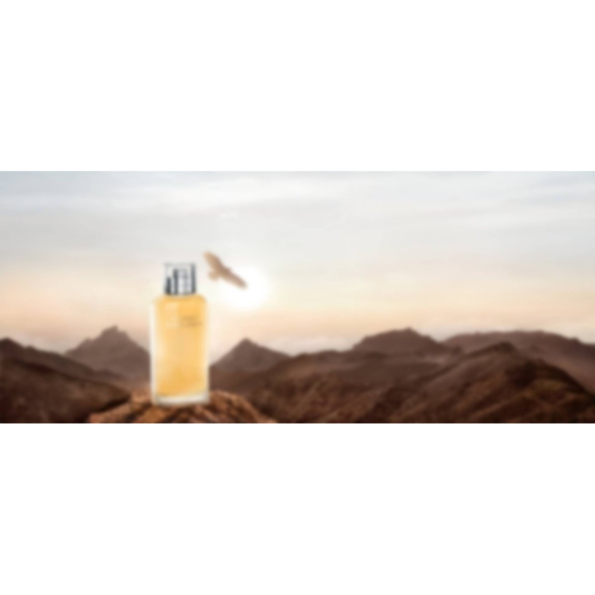 Davidoff Horizon Eau De Toilette Spray 125ml