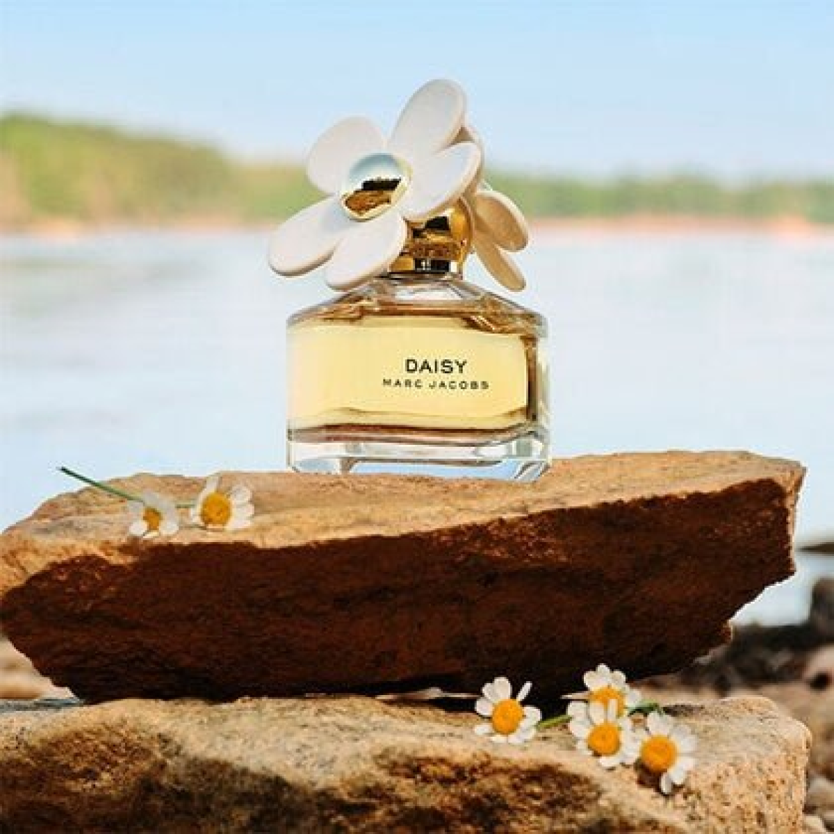 Marc Jacobs Daisy Eau De Toilette Spray 200ml