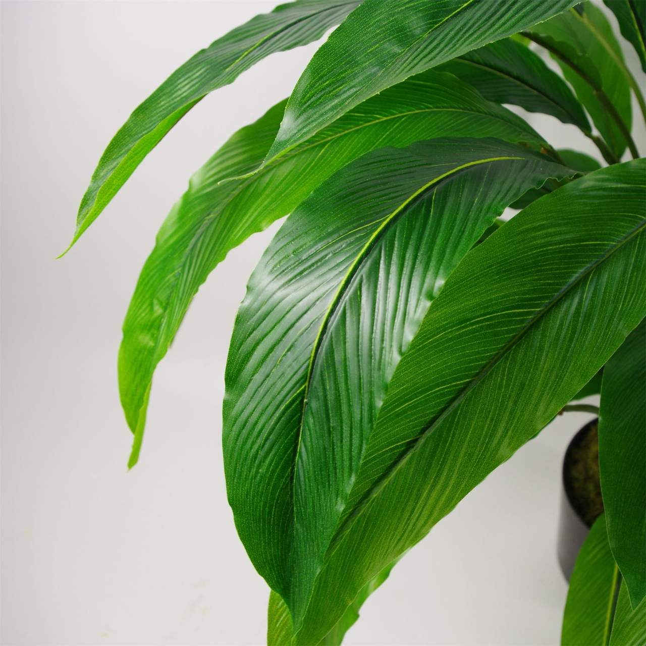 60cm Artificial Calathea Plant