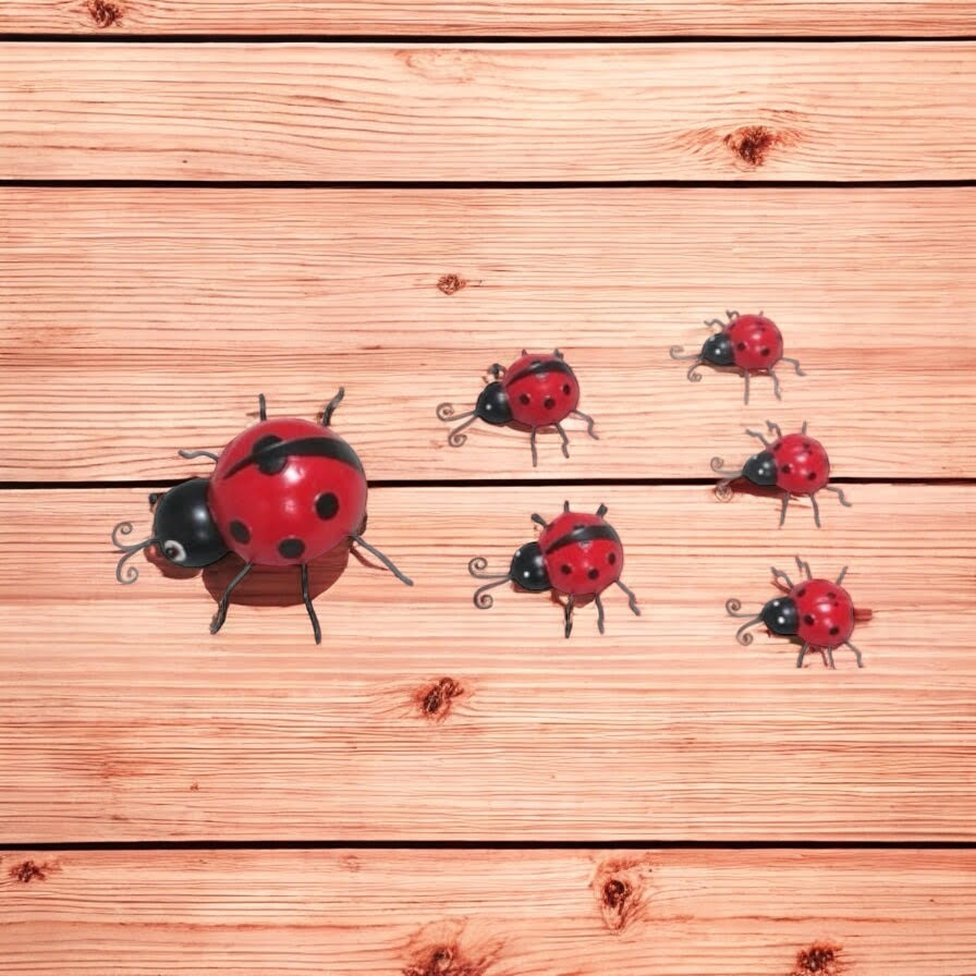 AcaciaHome Durable & Stylish Metal Ladybird Garden Decor Set of 6, Durable Weatherproof Hanging Wall Art, Rust-Resistant Glossy Red Ladybird Sculptures for Fence, Porch, Balcony & Patio