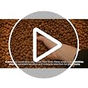 BHomeScent Clay Pebbles for hydroponics (1L)