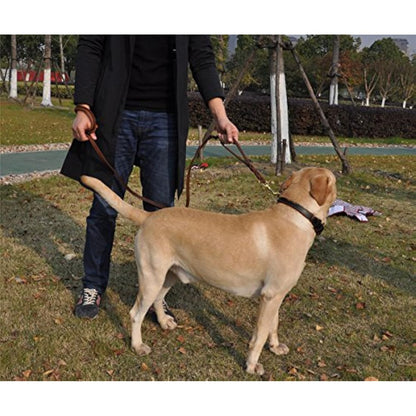 JYHY Leather Dog Leash with Double Handle - 6 ft Long & 5/8" Wide Braided Genuine Leather Dog Leash for Large, Medium & Small Dogs Training & Walking