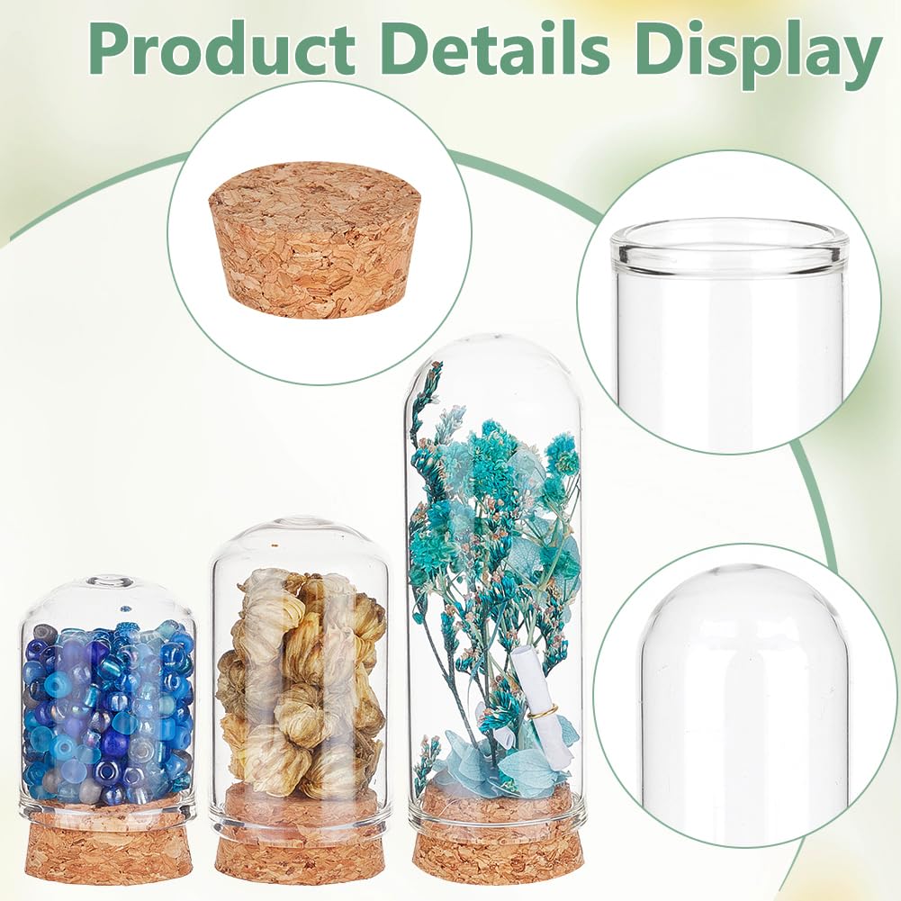 BENECREAT 24Pcs 3 Size Small Glass Display Dome Cloche, Glass Display Dome with Cork Base