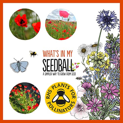 SEEDBALL Poppy Seed Bombs – 100 Seed Balls Per Pack | Bursting with Beautiful Red Poppy Flowers | Clay Protected Seed Bomb for Bees, Butterflies, Birds & Other Garden Wildlife