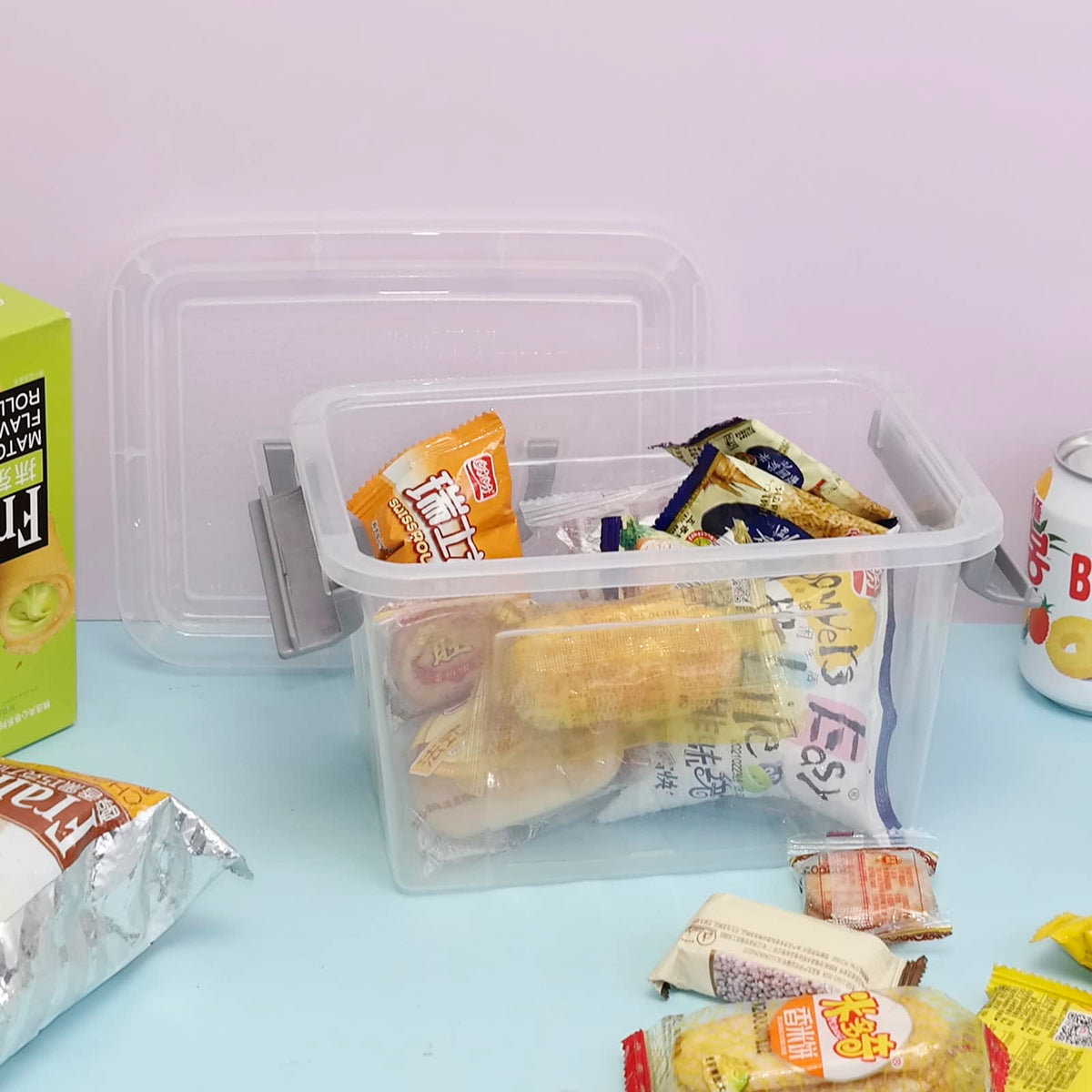 Hespama 6 Pack 3 L Small Storage Boxes with Lids, Clear Lidded Storage Box
