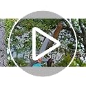 Walensee Pole Saws for Tree Trimming 304cm Lightweight Manual Stainless Steel Extension High Pole Pruning Pole Saw with Blade for Trimmer Branches Pole Cutter Pole Pruner at Forestry Yard Garden Patio