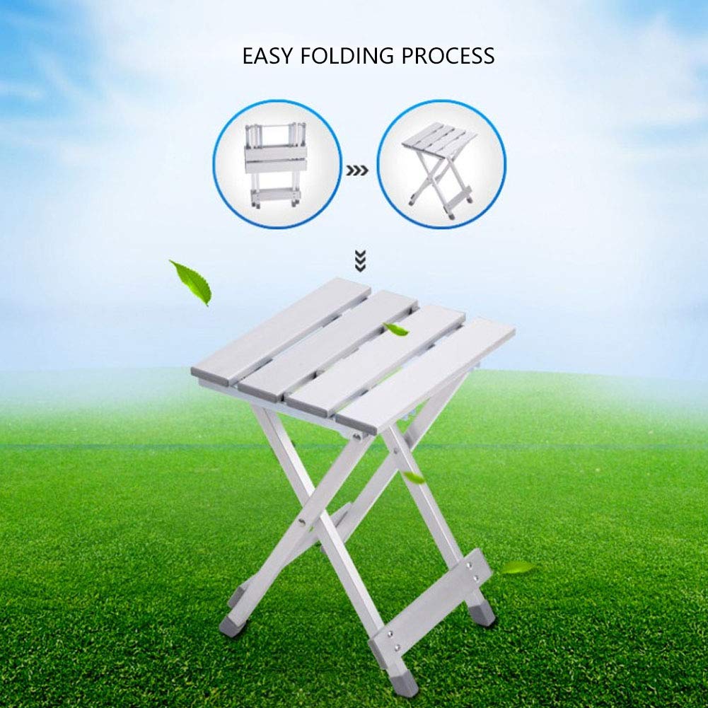 RASTKY Durable Antirust Stainless Steel Folding Chair Portable Foldable Camping for Fishing and Camping 31.9oz Weight