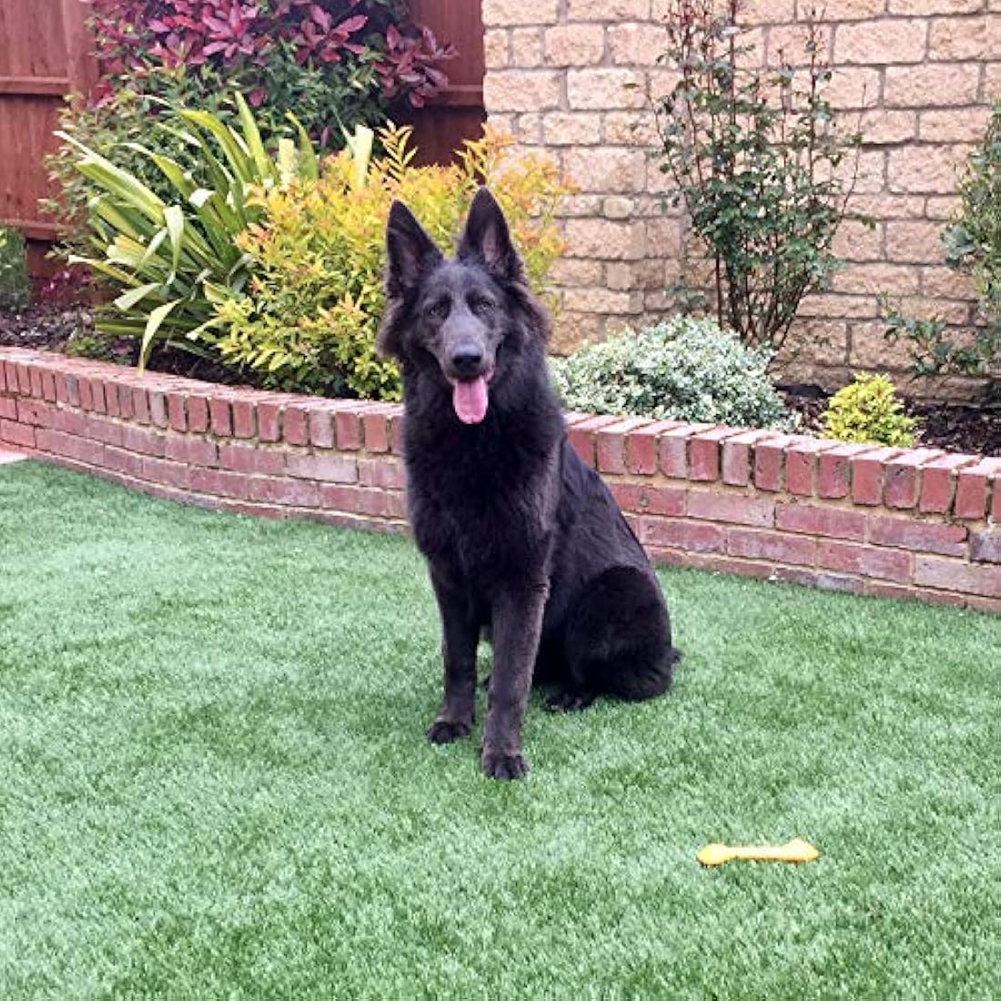 WEE FREE 5 Ltr Artificial Grass Cleaner and Pet Odour Eliminator for Dog Urine - Neutraliser and Deodoriser for Dog Wee on Astro Turf and Fake Lawns. Safe for Dogs and Animals.