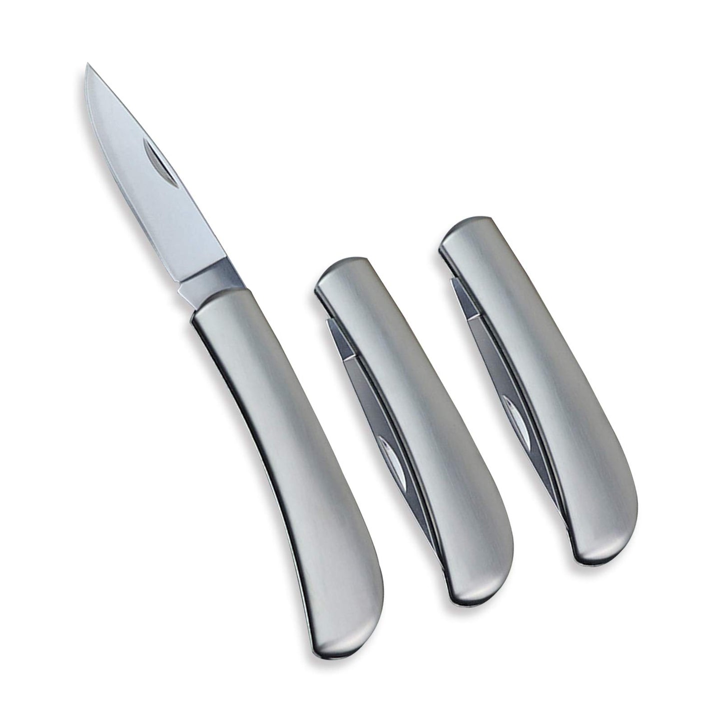 Kocpudu Fruit Knife, All Steel Foldable Fruit Knife Set, Exquisite and Beautiful, Small and Easy to Carry, Foldable Fruit Knife Suitable for Most