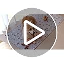 PmakeEorT Puppy Pads Washable, 2 Pack Reusable Dog Training Pads Fast Absorption, Waterproof Dog Mat Whelping Pee Pads for Playpen, Crate, Floor - 104x104 cm