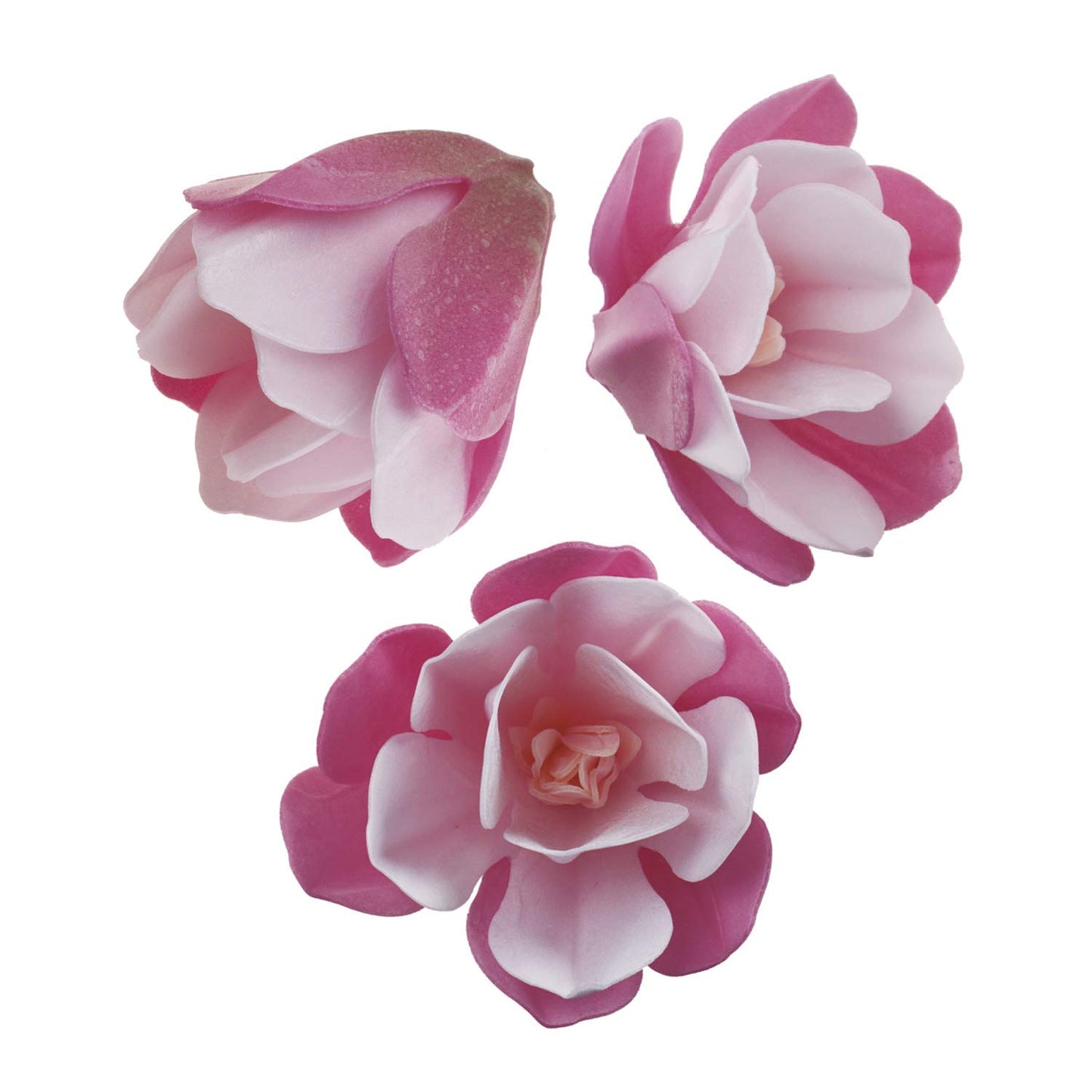 Dekora - Edible Magnolia Flower For Cake Decoration, Pink 6.5-7 cm - 6 Flowers