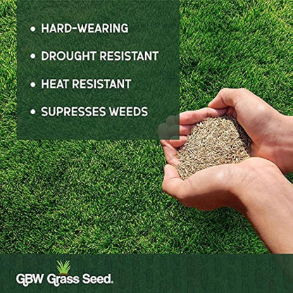 GBW Grass Seed 1kg - Covers up to 60 m2 (645 ft2) - Premium Quality Lawn Seed - Rapid Growth – Can Germinate as Quick as 10 days - Hard Wearing against Pet Urine - Tailored to UK Climate - 100% Refund