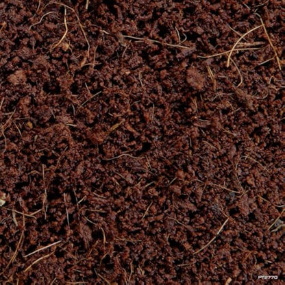 Exo Terra Plantation Soil Substrate, 8.8 Litre