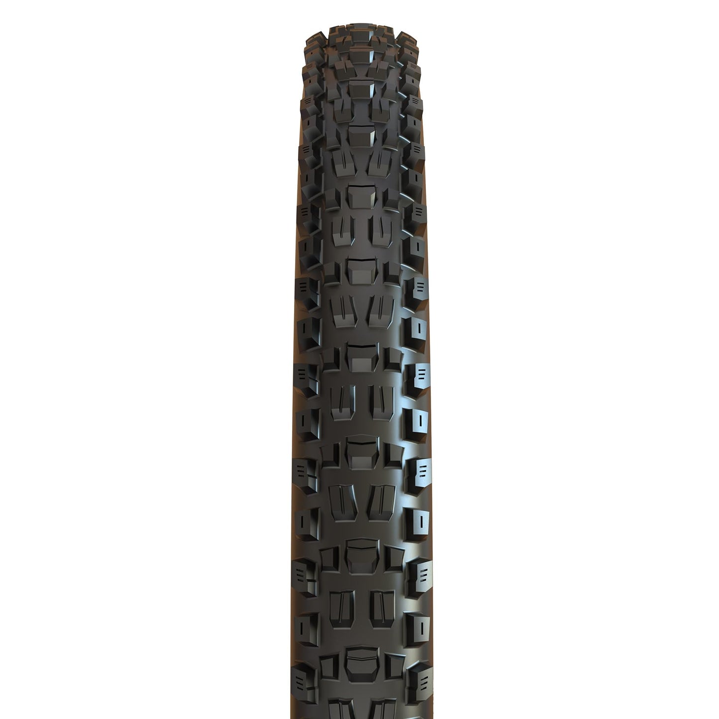 Maxxis Assegai 29 x 2.50 WT 60 TPI Foldable 3C MaxxTerra EXO/TR Tyre 29 x 2.5 inches, Black,TB00163000